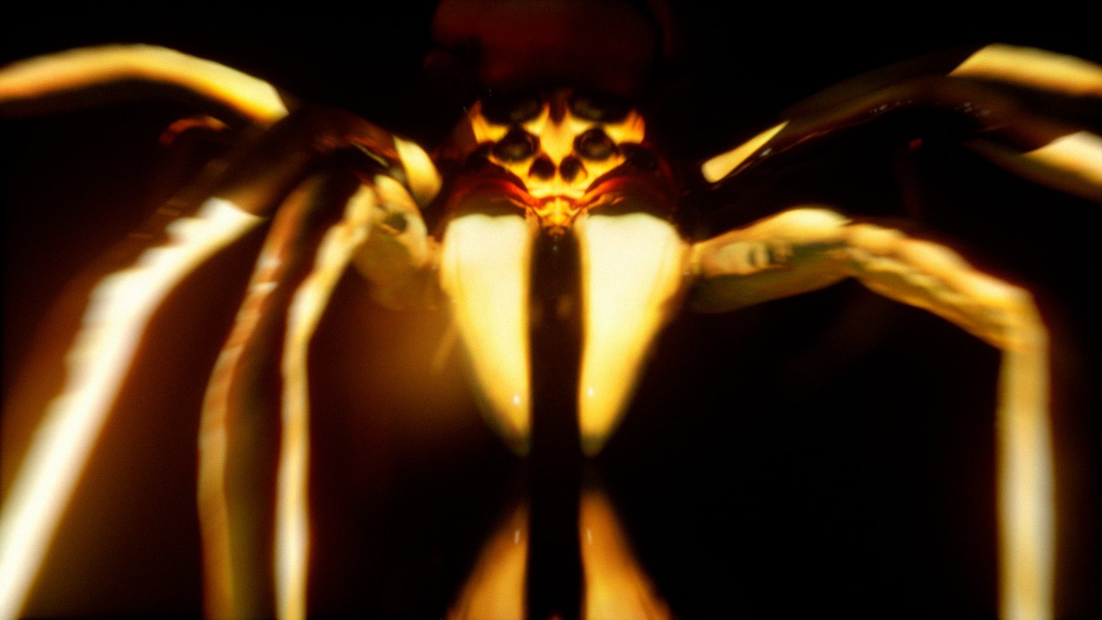 Preview.00_08_46_10.Still024