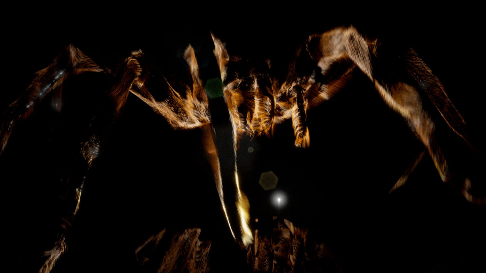 Preview.00_08_55_22.Still027