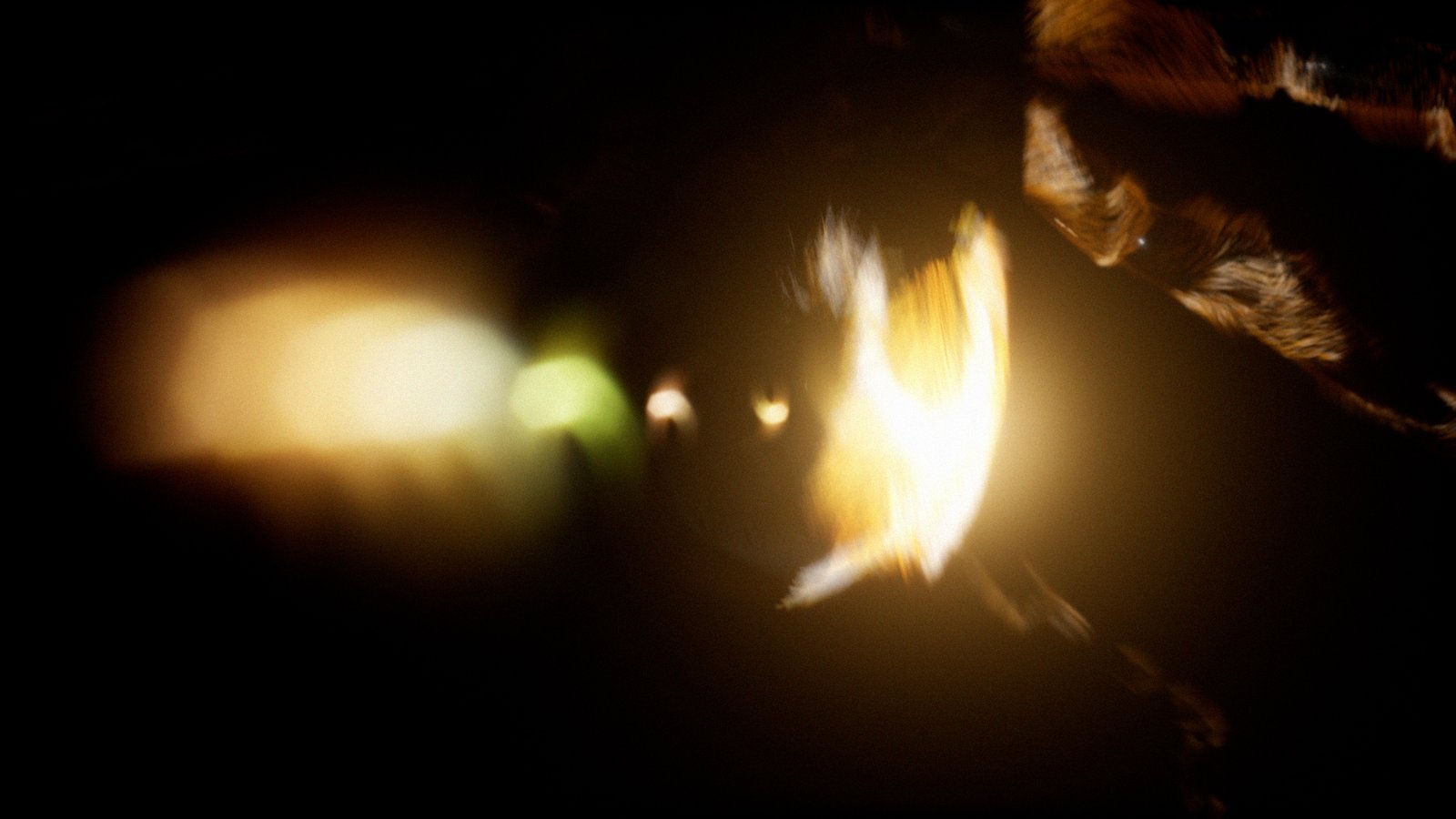 Preview.00_08_56_22.Still029